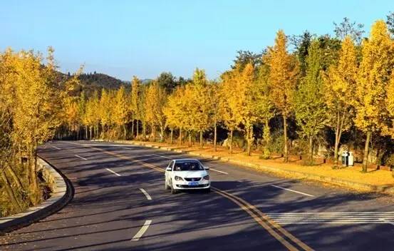 重庆最富有的8个区县 (重庆最发达的10个区县)