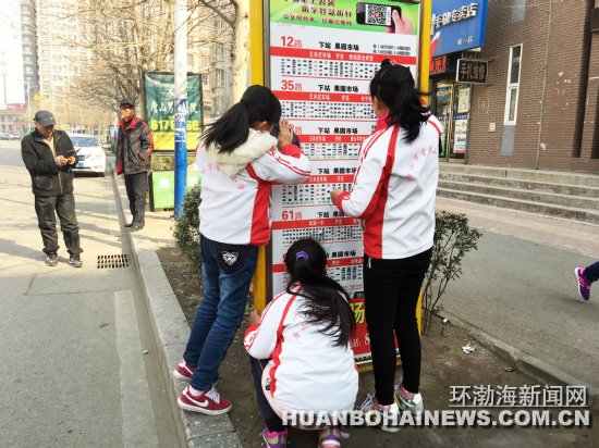 向阳小学学雷锋树新风文明活动,小学开展学雷锋活动简讯