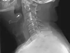 提醒不要疏忽大意的警示语,提醒不要疏忽大意的古句