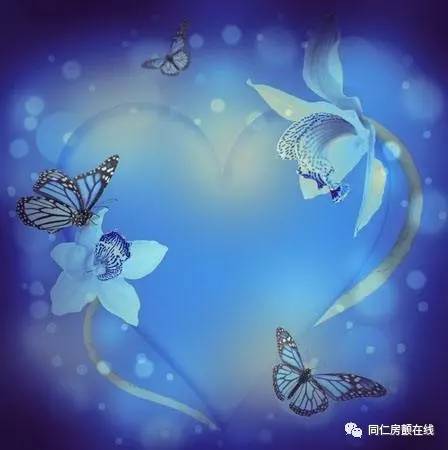 香豆素——一个美丽而陌生的名字