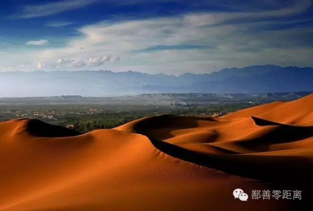 新疆鄯善骆驼,鄯善的骆驼