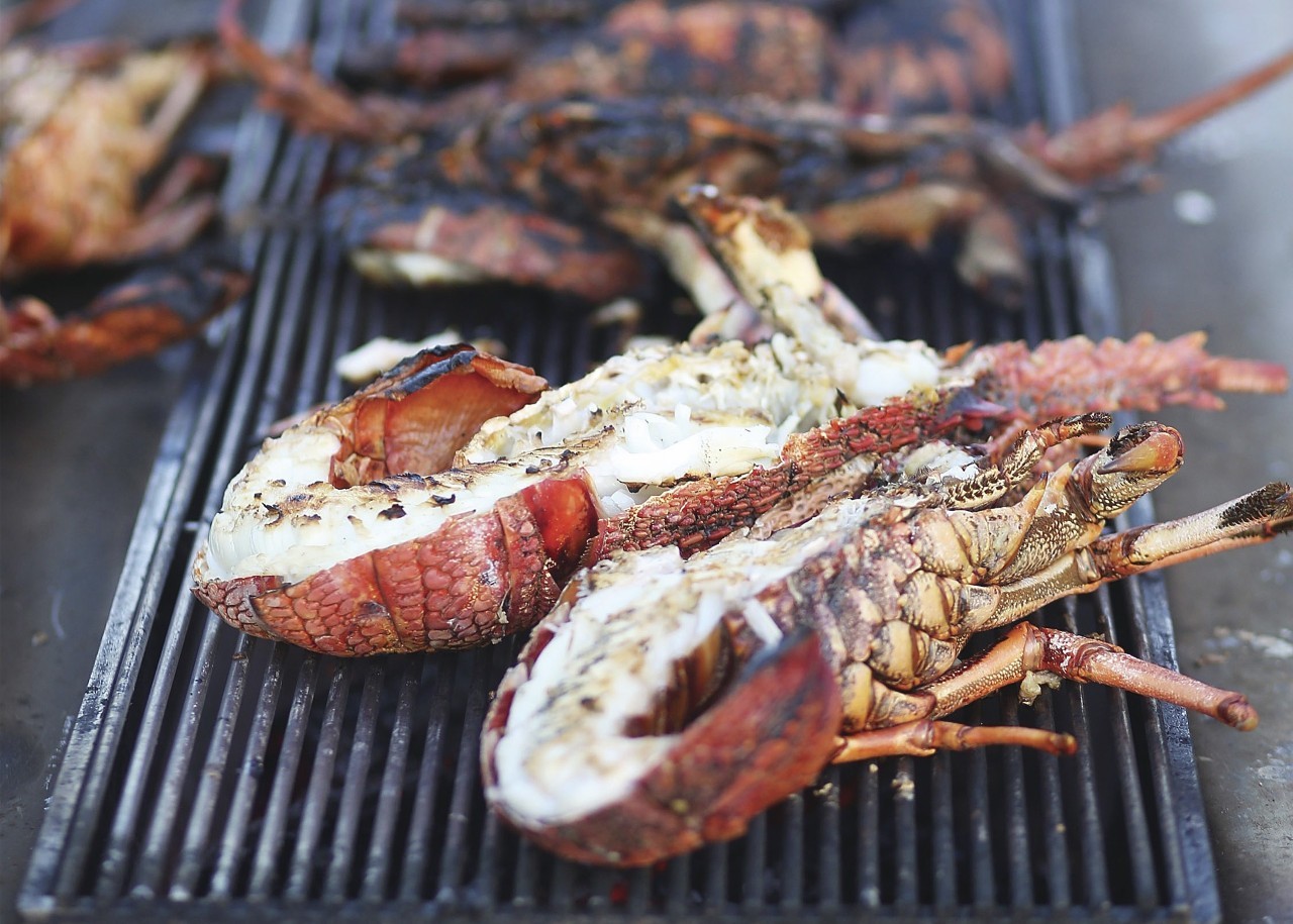 澳大利亚:乐水夏日·赶走冬日阴霾艳阳下的沁凉之旅