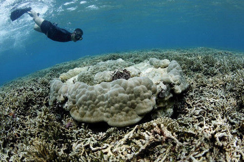 到西沙群岛旅游全程费用,个人如何去西沙