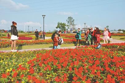 ?岳池全力冲刺一季度“开门红”