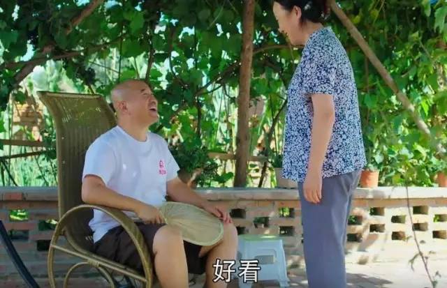 会说话的刘能,盘点刘能说话有多逗