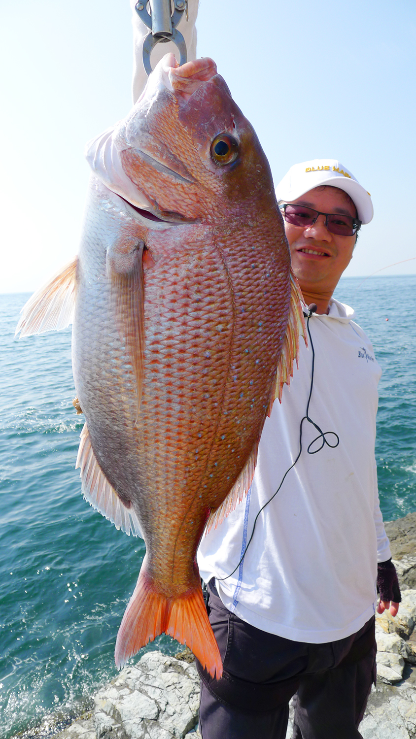 钓鱼有哪些肉食性鱼,海洋钓鱼常见鱼类