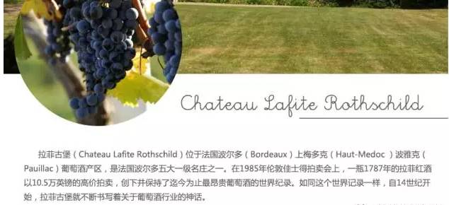 连环凶杀案剧情,连环杀人案剧情详解