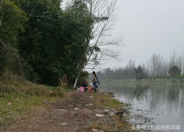 杂鱼怎么做效果最好,杂鱼加锅贴