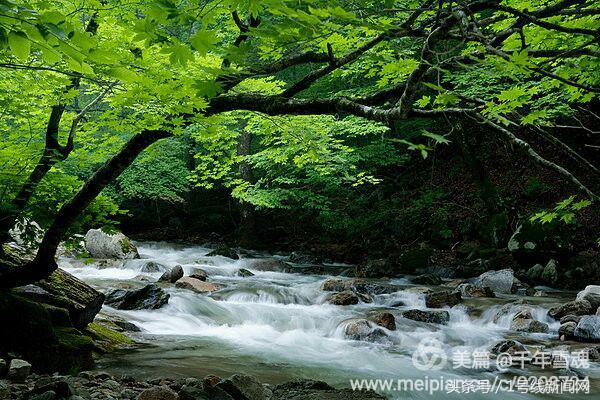 永远的余子店——文/刘宏冰