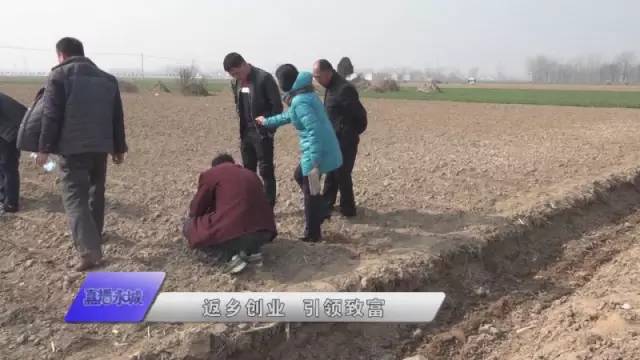 河南省永城市陈集镇望庄村时楼村,陈集镇望庄村