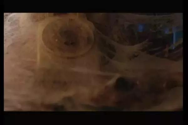 这是你们要的大长腿，备好纸巾，准备上下其手吧