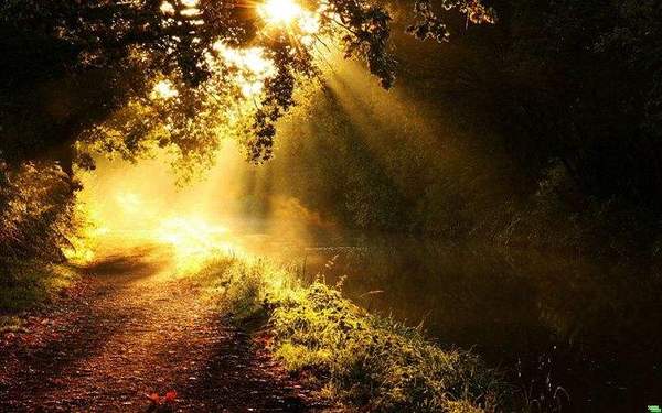 儿童诱发白癜风的原因,儿童得白癜风诱因