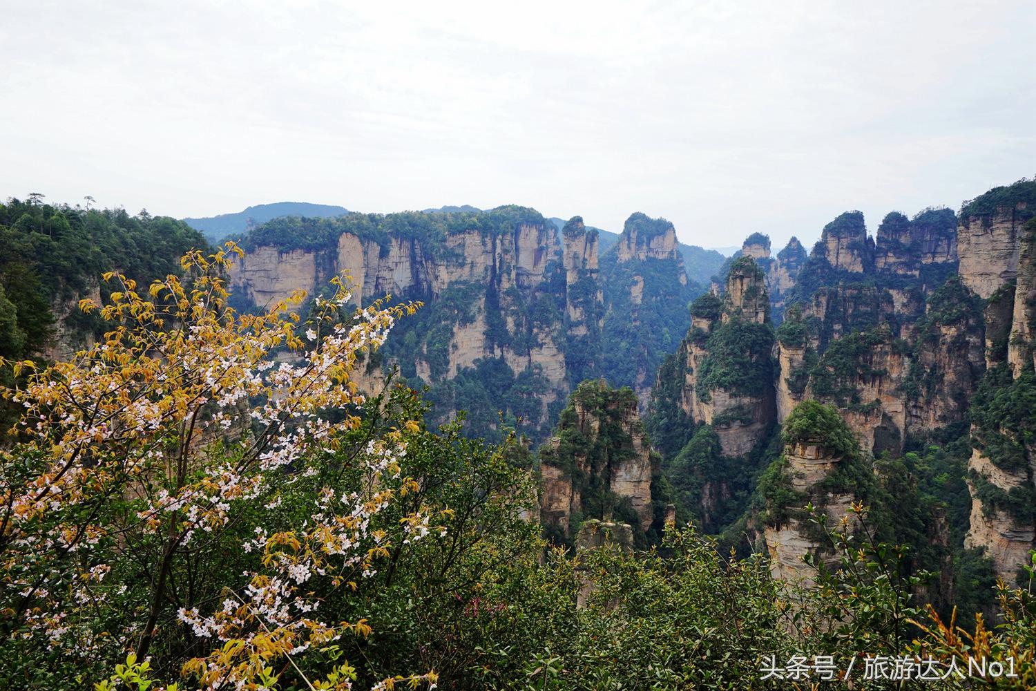 游记张家界8天旅游详细攻略,张家界天门山森林公园美景游记