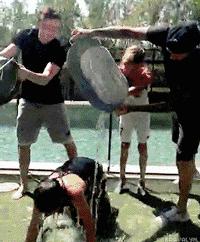 贝影从未离去贝克汉姆,贝克汉姆回忆科比