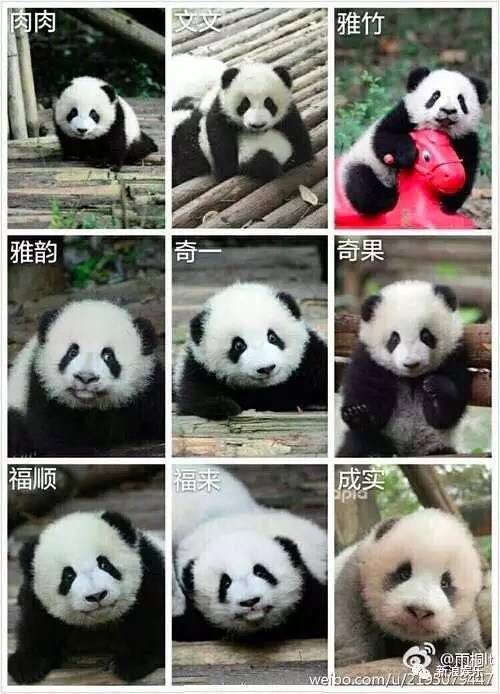 抱大腿暴富后续,抱大腿走上人生巅峰