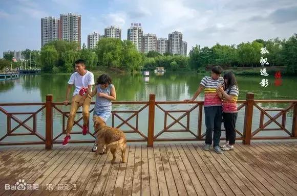 离开邓州？别逗了，五年后的大邓州，你高攀不起！