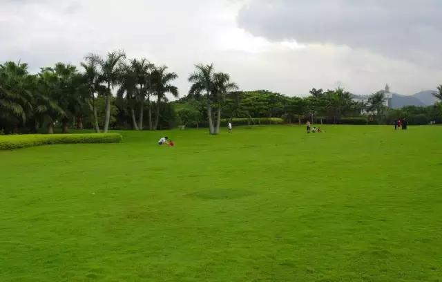 深圳又热了,深圳现在很热了吗