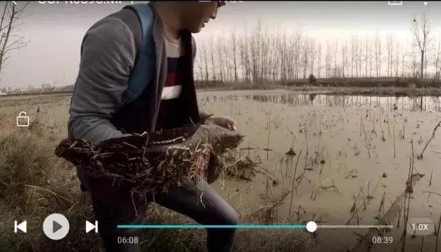 机械师横扫枯叶塘，放牛哥借机洗前耻路亚这条黑鱼真过瘾