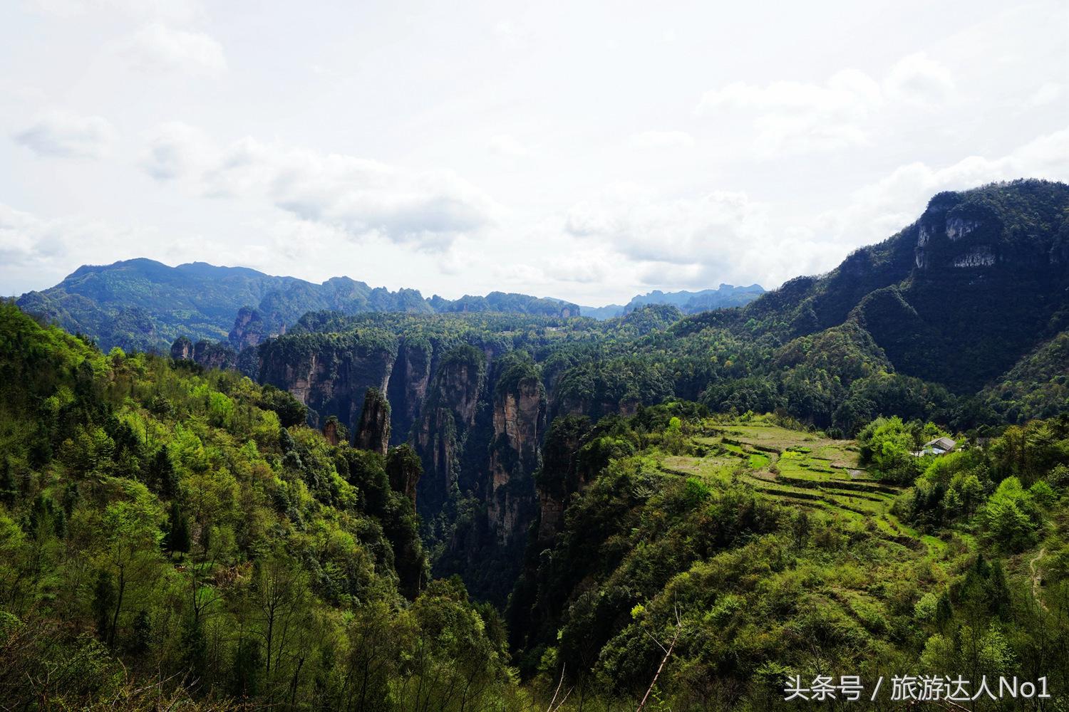 游记张家界8天旅游详细攻略,张家界天门山森林公园美景游记