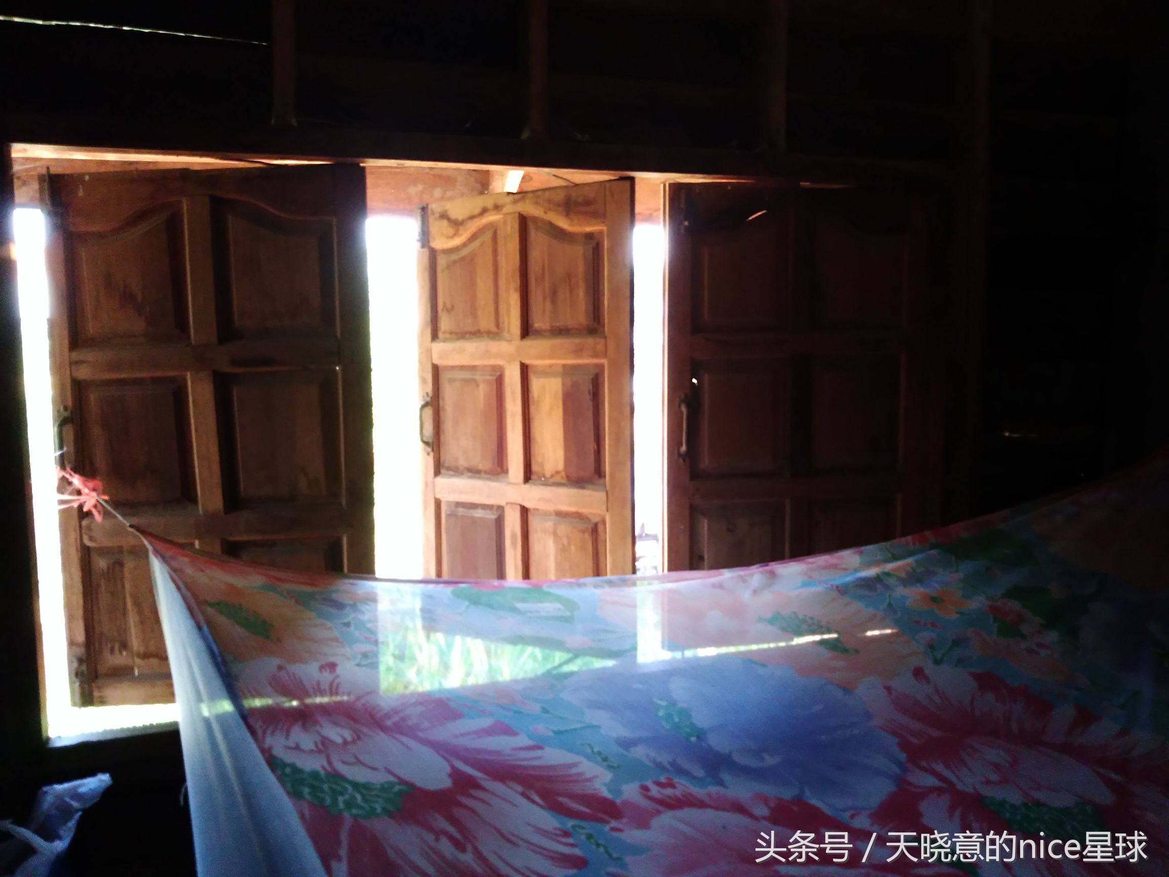 泰国大象旅行记,泰国旅游跟大象近距离接触