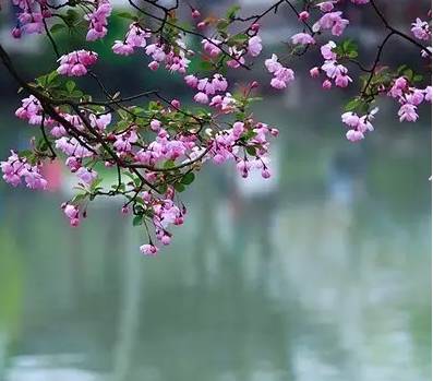 小学成语分类整理大全,这份成语分类大全替孩子存下吧