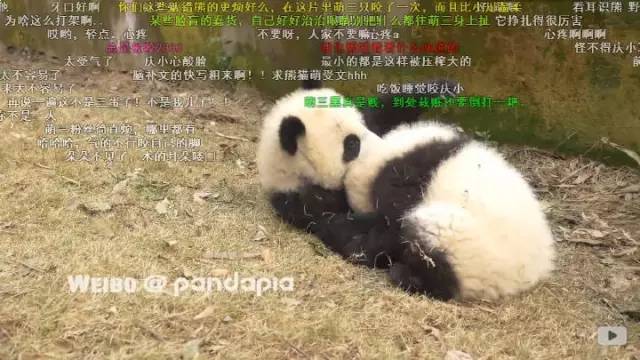 抱大腿暴富后续,抱大腿走上人生巅峰