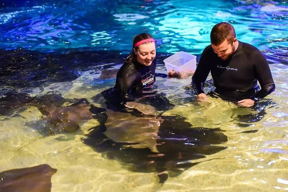 逛老街、扔斧头、高空行走!这样的多伦多,你爱吗?