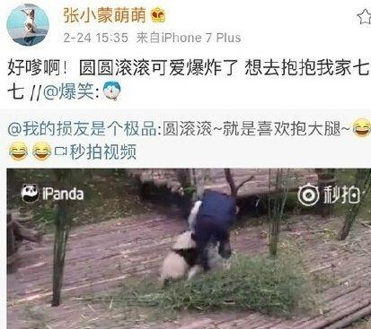 王思聪新欢和旧爱的对决,王思聪新欢旧爱如何取舍