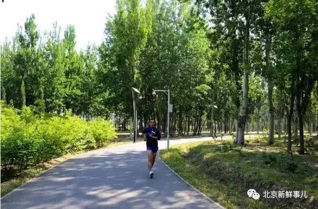 北京最美赏花公园在哪,北京赏花公园景点推荐