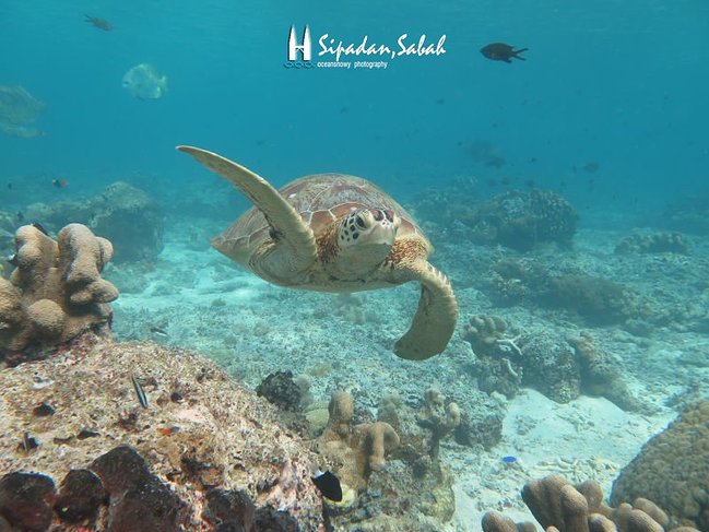 扔掉秋衣秋裤,冬天带你去撒欢儿