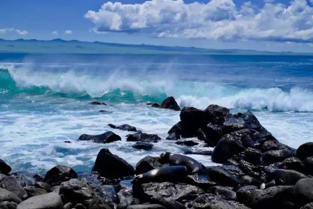 这才是旅行的样子,从亚洲至南美洲,他比我们多了点勇气和决心