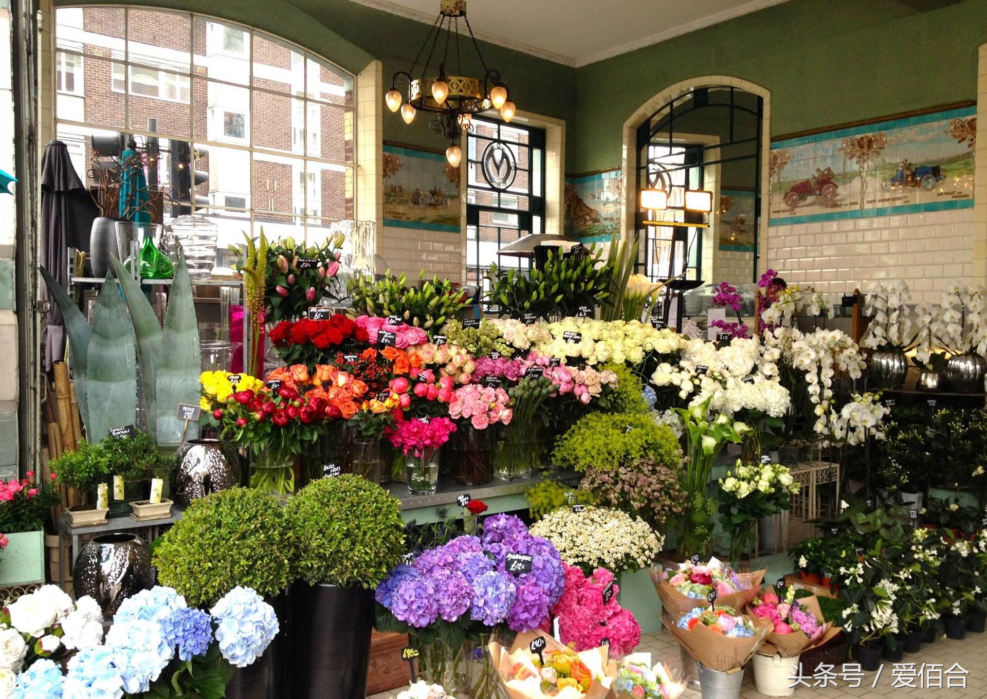 学花艺去工作室学还是培训机构,想学花艺去花店还是去培训学校