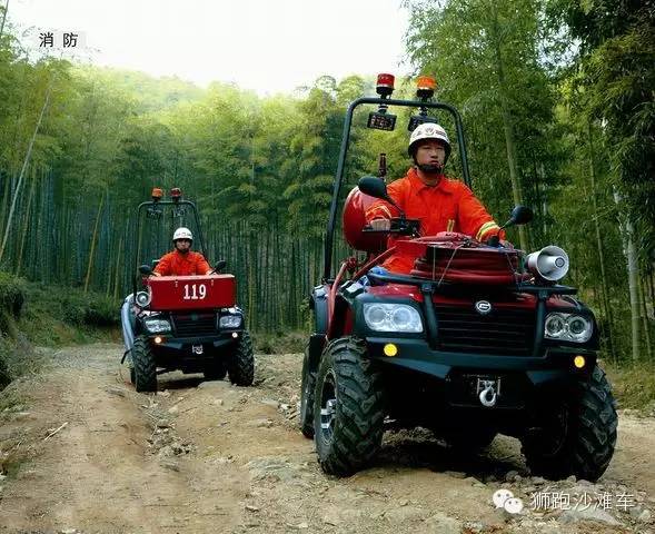 沙滩车实用性有多大,沙滩车有多少个档位