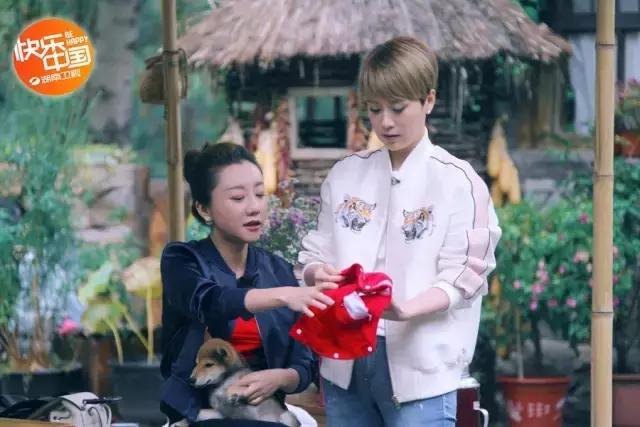 黄磊做佛跳墙,黄磊做佛跳墙视频完整版