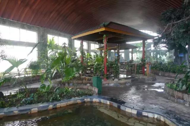 厉害了我的廊坊！这个有着美丽风景和高颜值的城市，变身“网红”