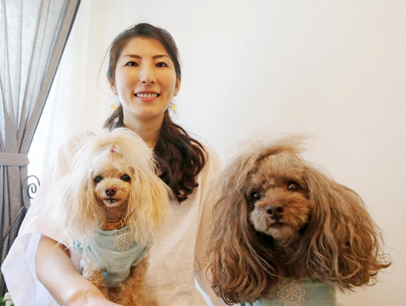 训练犬的正规培训,治疗犬性格培养