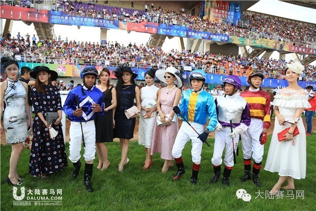 马术文化节开幕,鄂尔多斯驭马节赛事