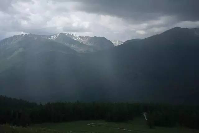 观看新警察故事,新警察故事免费看