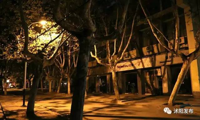 沭阳，没想到你是这样一座城市……