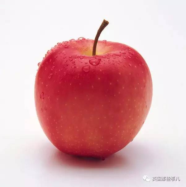 在苹果片上“种”出人耳？！这不是恐怖故事，是脑洞大开的医学新方向啊喂！