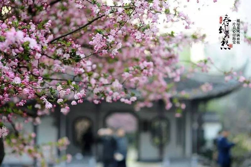 元曲春天,宋词里的春天意境深远