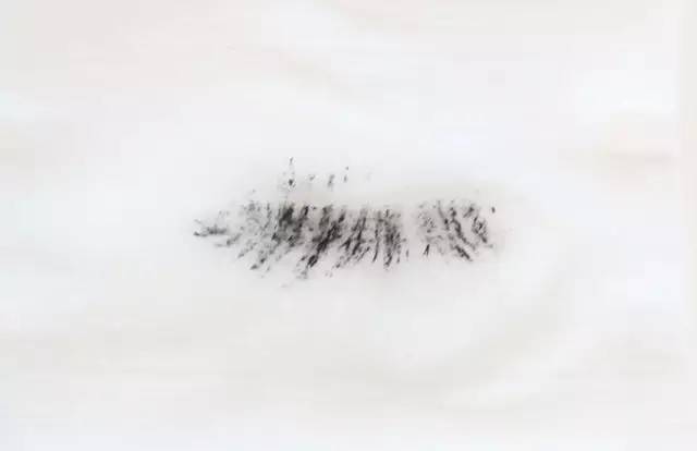 8款口碑超好的睫毛膏推荐,8款口碑超好的睫毛膏推荐一下