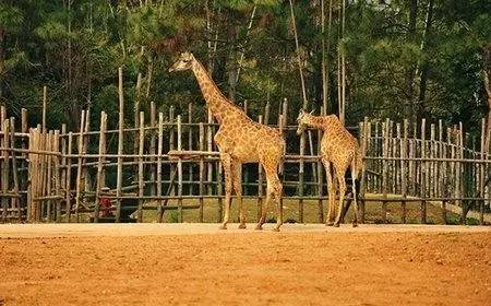 滨河新区,银川滨河新区以后怎么样