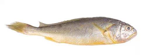 威海的海鲜什么时候是旺季,威海应季海鲜