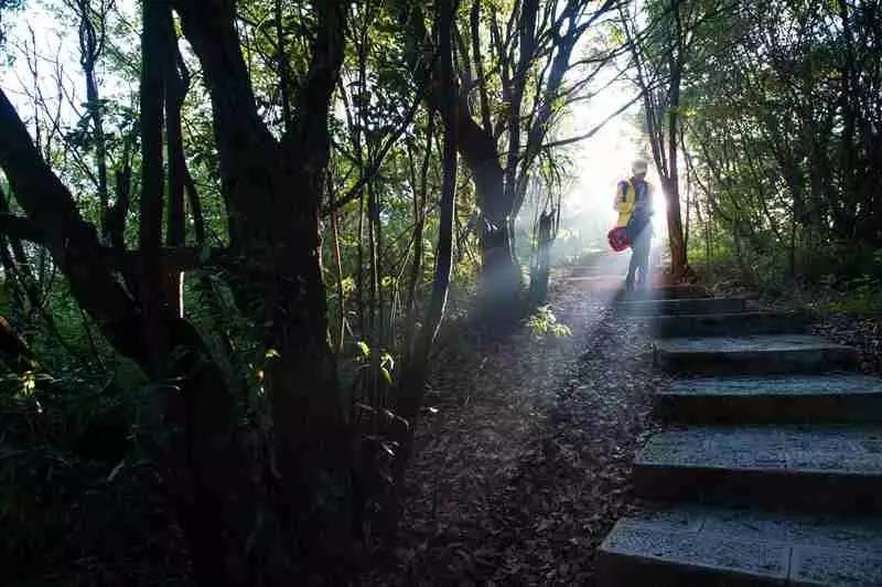 你,为什么离不开石柱!