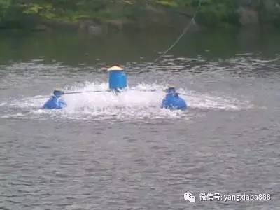 水产养殖鱼塘溶氧与温度的关系,水产养殖如何溶氧
