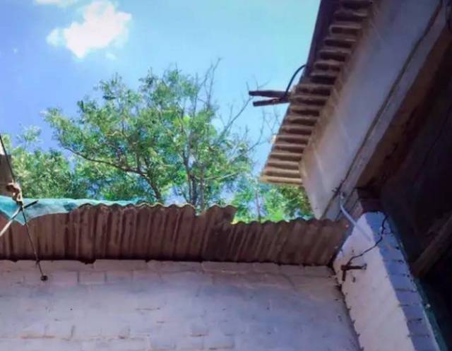 外国小鲜肉只花400元竟然租到了北京二环的房子,然而刚拿到房子的瞬间却差点哭了出来