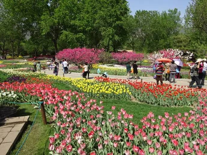 春暖花开踏青正当时完整版,春暖花开踏青季攻略