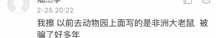 今朝上海｜闻臭师、遛娃师、衣橱整理师……这些奇葩职业的收入竟然那么高！也许你也隐藏着某些赚钱技能哦~