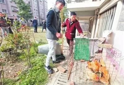 芜湖瑞东园小区,芜湖南瑞新城瑞东园